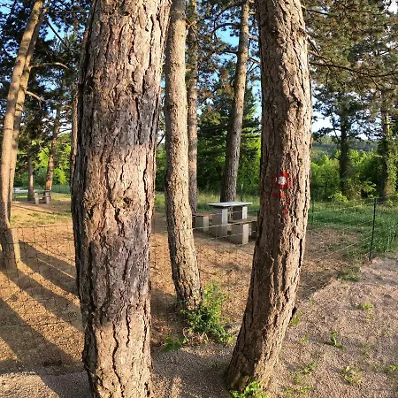 Apartamento Divaca, Srebrna *