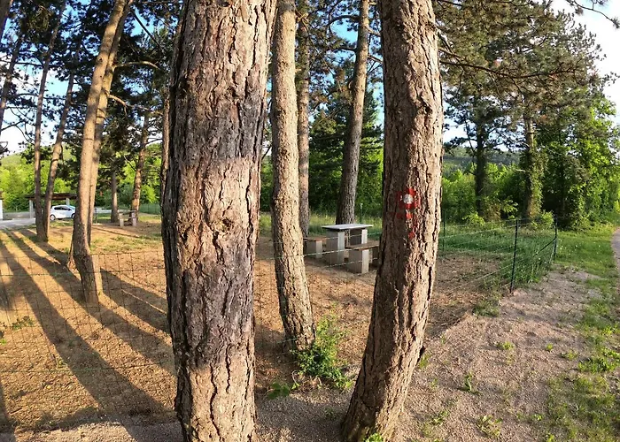 Апартаменты Divaca, Srebrna *